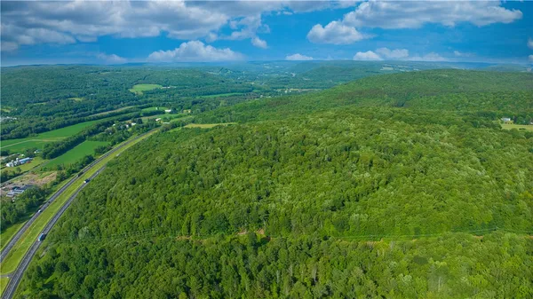 $169,900 | 0 Pine Hill Road, Unadilla, NY 13849