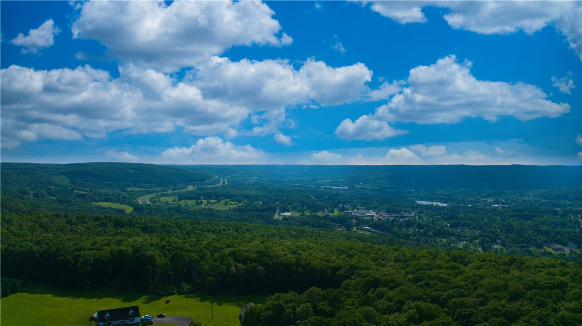 0 Pine Hill Road Unadilla, NY 13849 - Photo 4 of 22