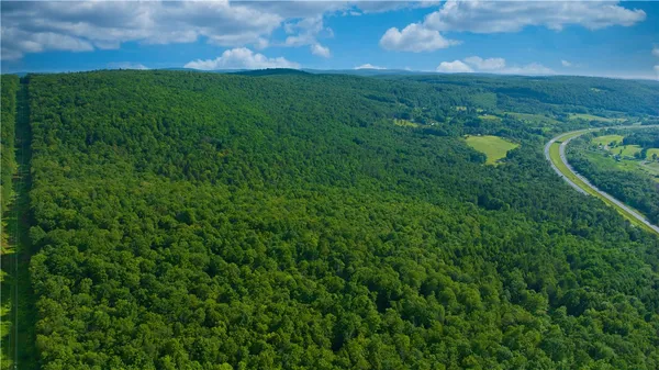 $169,900 | 0 Pine Hill Road, Unadilla, NY 13849