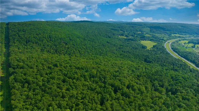 $169,900 | 0 Pine Hill Road, Unadilla, NY 13849