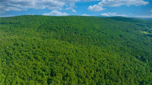 $169,900 | 0 Pine Hill Road, Unadilla, NY 13849