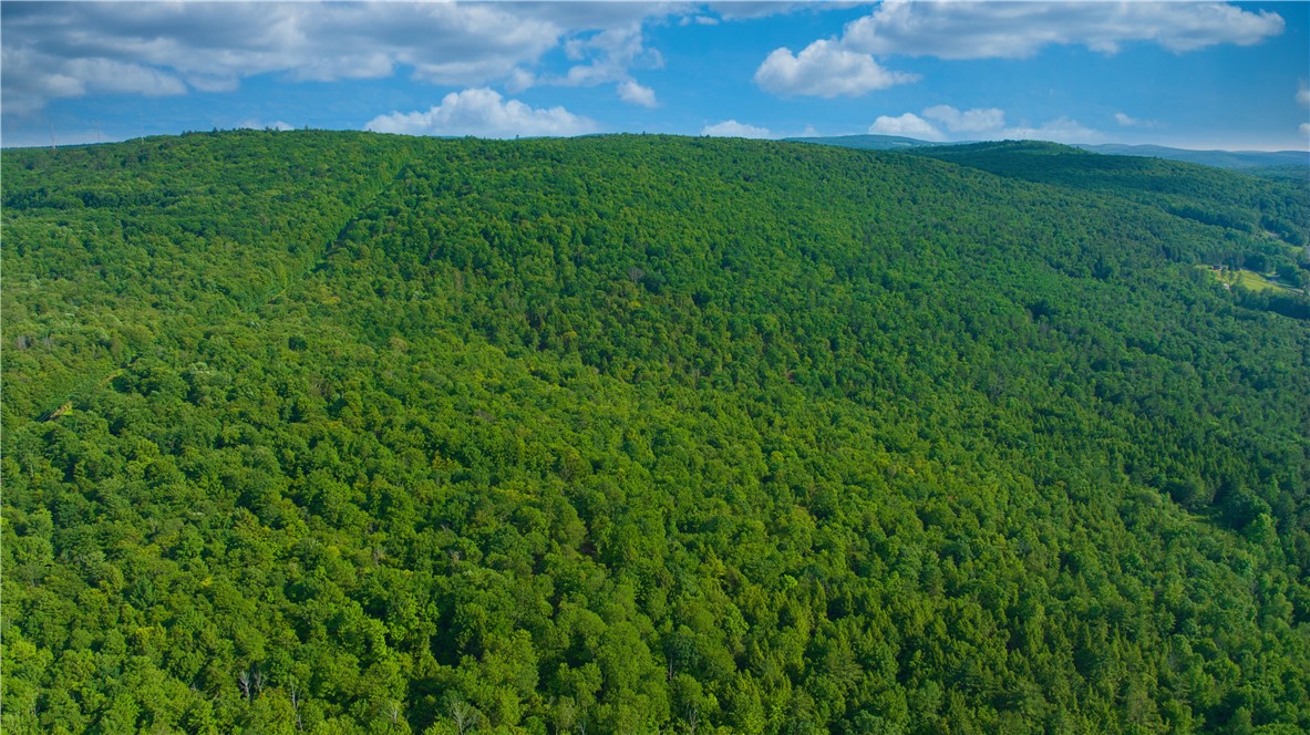 0 Pine Hill Road Unadilla, NY 13849 - Photo 7 of 22