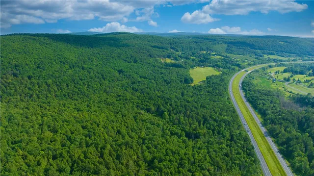 $169,900 | 0 Pine Hill Road, Unadilla, NY 13849