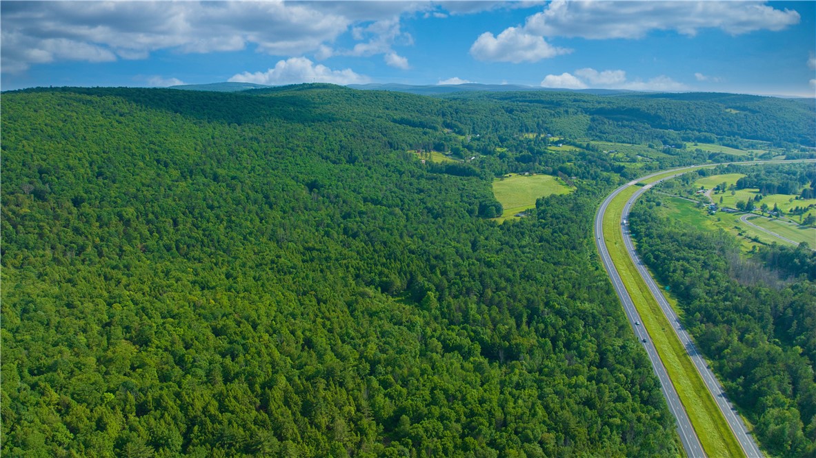 0 Pine Hill Road Unadilla, NY 13849 - Photo 8 of 22