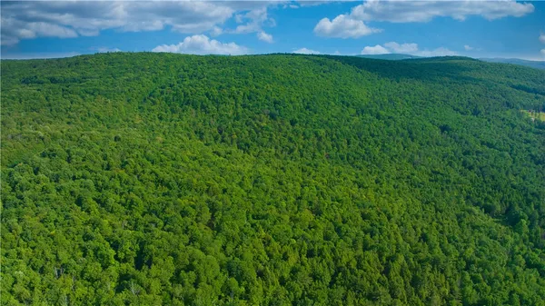 $169,900 | 0 Pine Hill Road, Unadilla, NY 13849