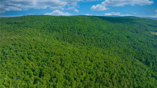 $169,900 | 0 Pine Hill Road, Unadilla, NY 13849