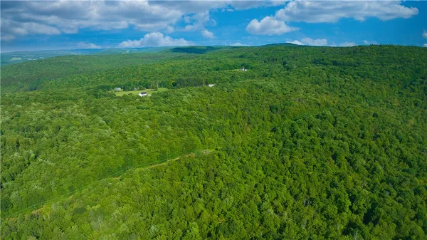 $169,900 | 0 Pine Hill Road, Unadilla, NY 13849