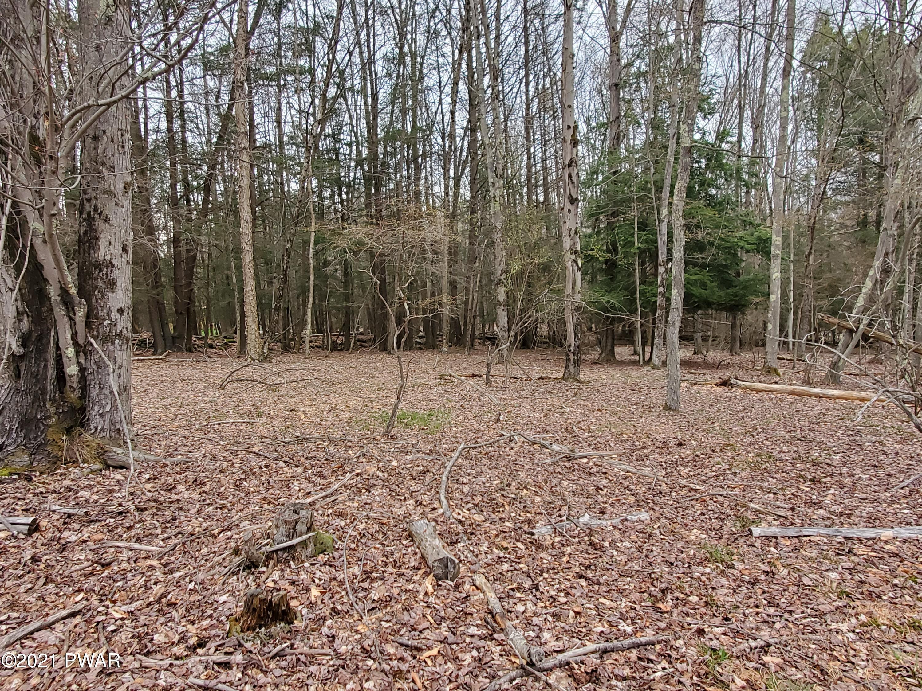 334 Ruffed Grouse Path Lake Ariel, PA 18436 - Photo 1 of 12