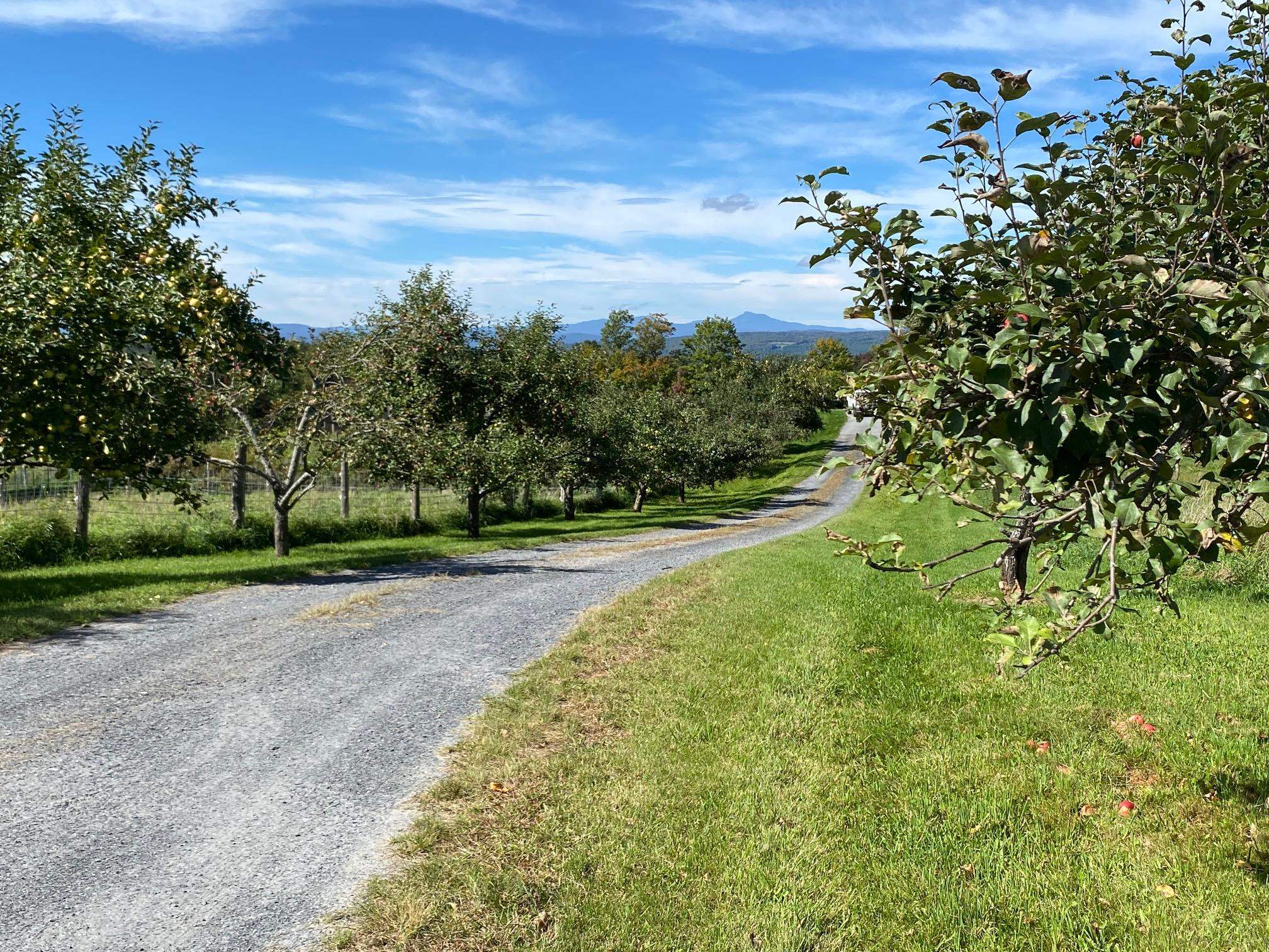 970 Upper Road Plainfield, VT 05667 - Photo 36 of 38