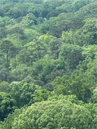 $3,600 | 3040 Peachtree Road Northwest, Unit 1911, Atlanta, GA 30305