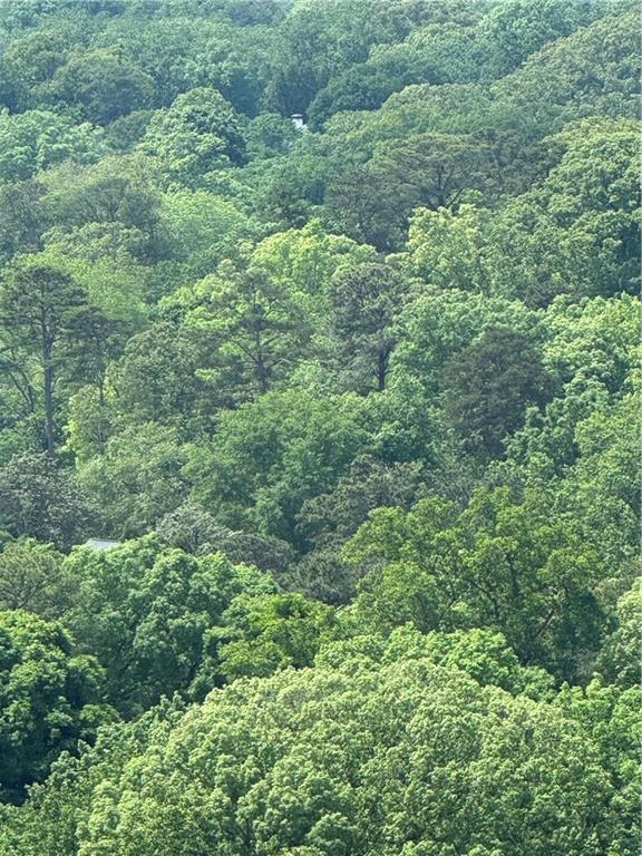 3040 Peachtree Road Northwest, Unit 1911 Atlanta, GA 30305 - Photo 28 of 42