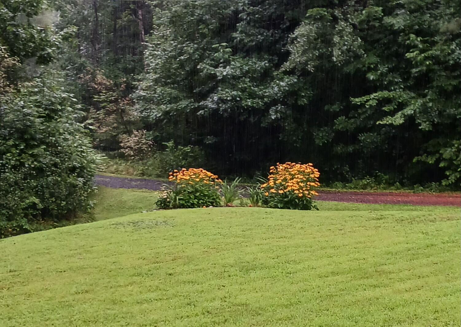722 New England Road Searsmont, ME 04973 - Photo 29 of 38 front yard