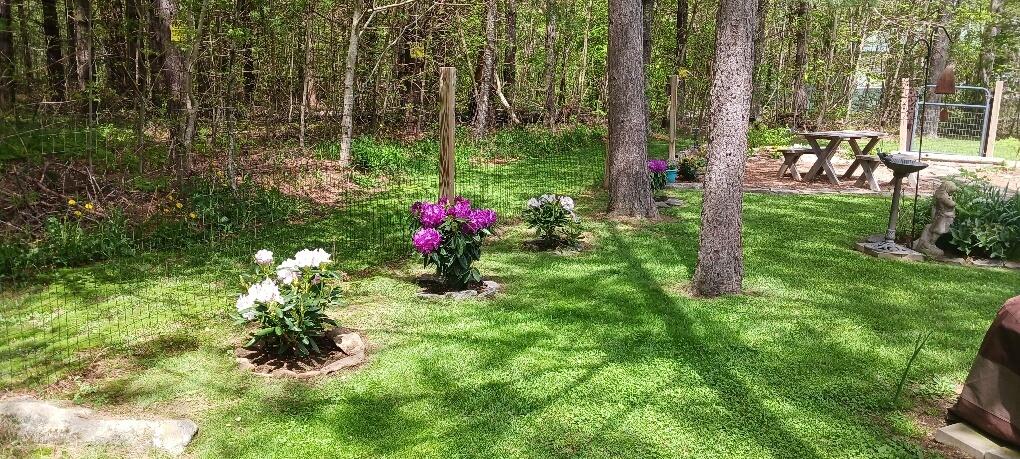 722 New England Road Searsmont, ME 04973 - Photo 31 of 38 perennials