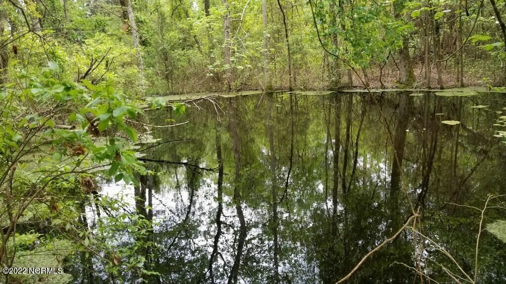 225 Strother Road Aberdeen, NC 28315 - Photo 8 of 25 Pond 1
