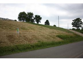 214 Davy Crockett Road, Unit 30 Limestone, TN 37681 - Photo 15 of 17 Photo 17
