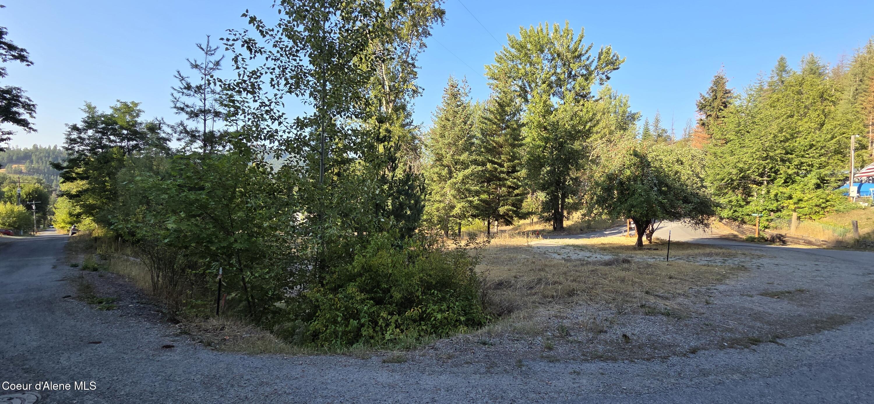 930 Lower Page Road Smelterville, ID 83868 - Photo 5 of 11 Apple trees and creek
