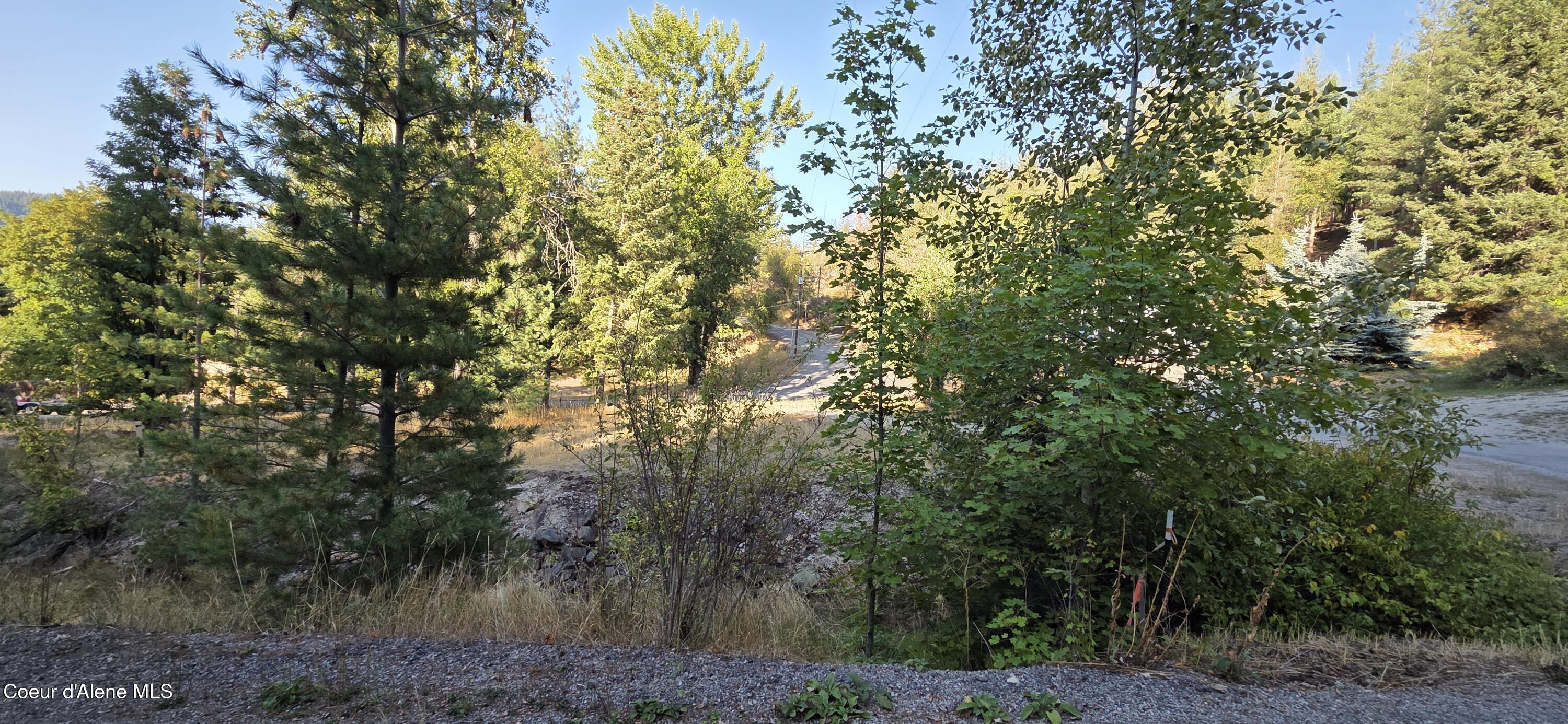 930 Lower Page Road Smelterville, ID 83868 - Photo 7 of 11 Creek