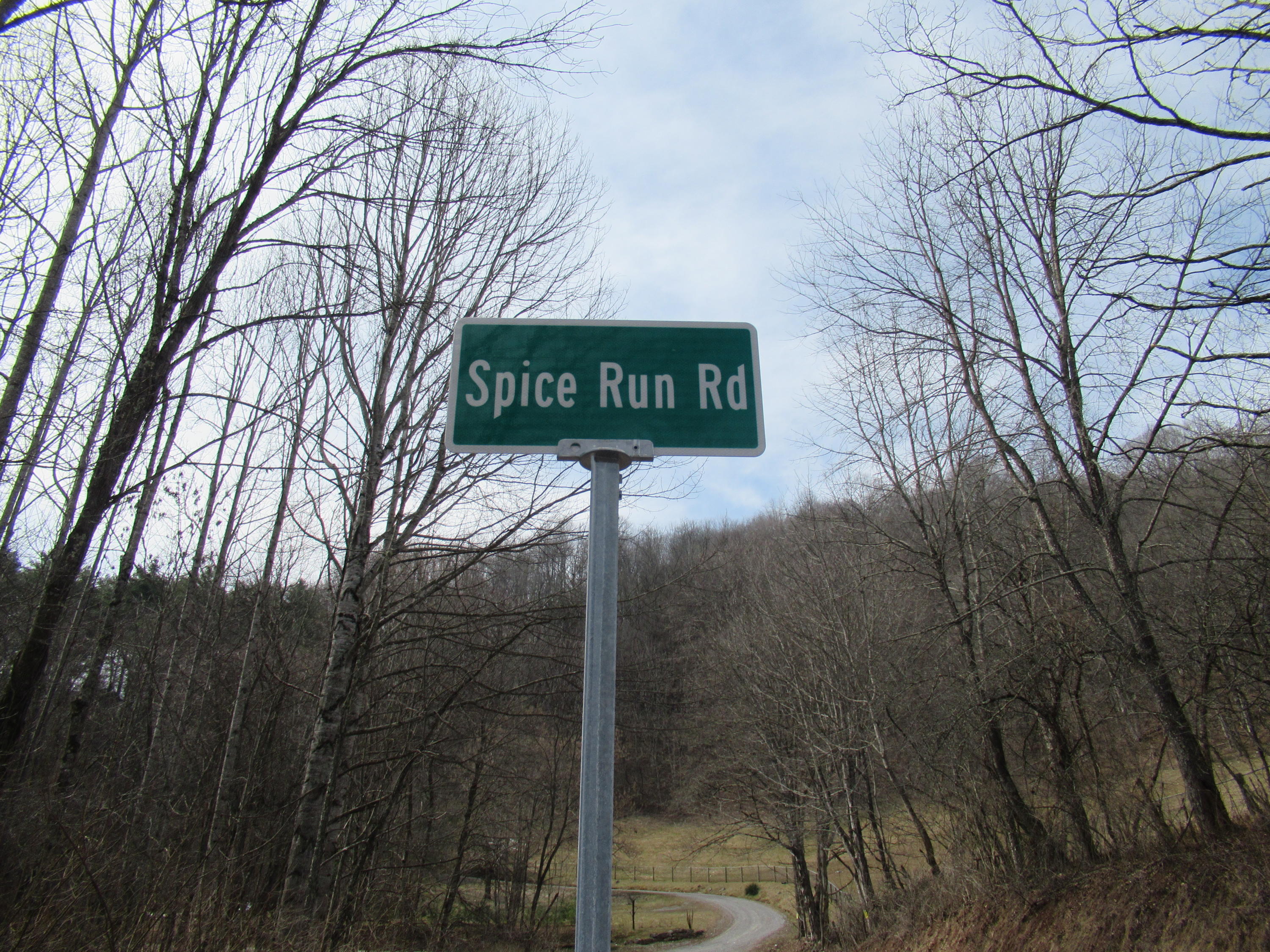 Lot 17 Spice Run Road Hillsboro, WV 24946 - Photo 2 of 12 Gallery Image 2