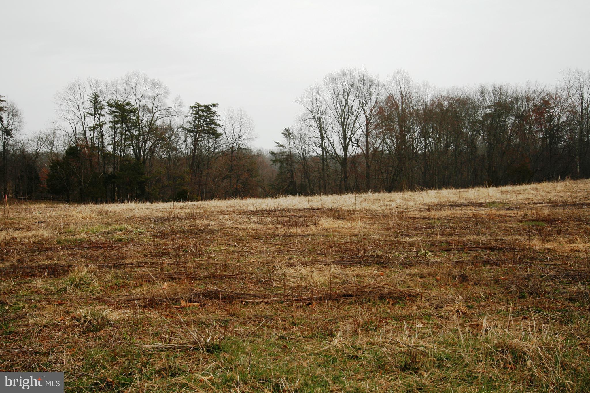 Green Meadows Road Warrenton, VA 20186 - Photo 12 of 16 Exterior (Front)