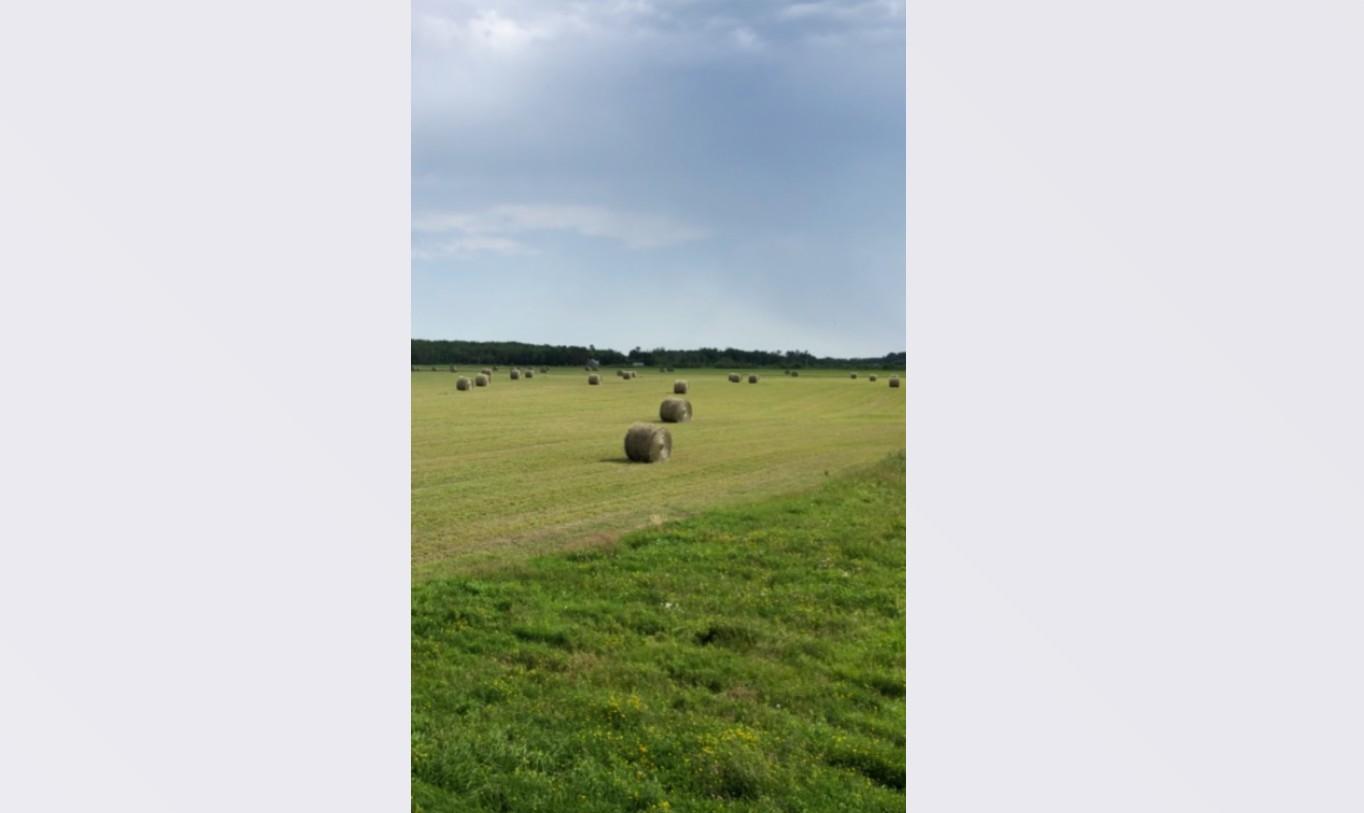 Tbd Tbd Arkola Road Meadowlands, MN 55765 - Photo 12 of 29