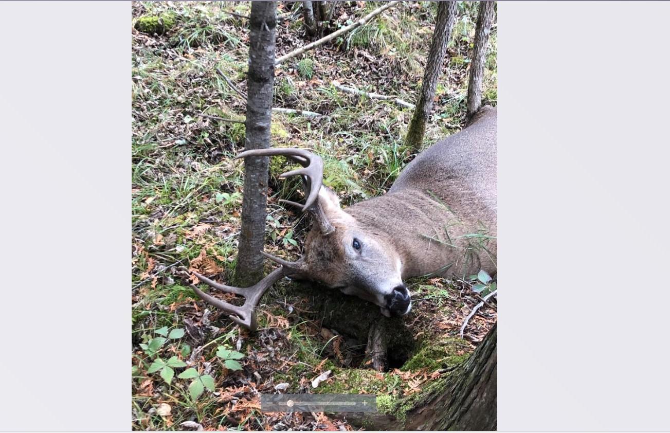 Tbd Tbd Arkola Road Meadowlands, MN 55765 - Photo 22 of 29