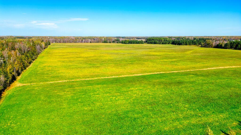 Tbd Tbd Arkola Road Meadowlands, MN 55765 - Photo 24 of 29