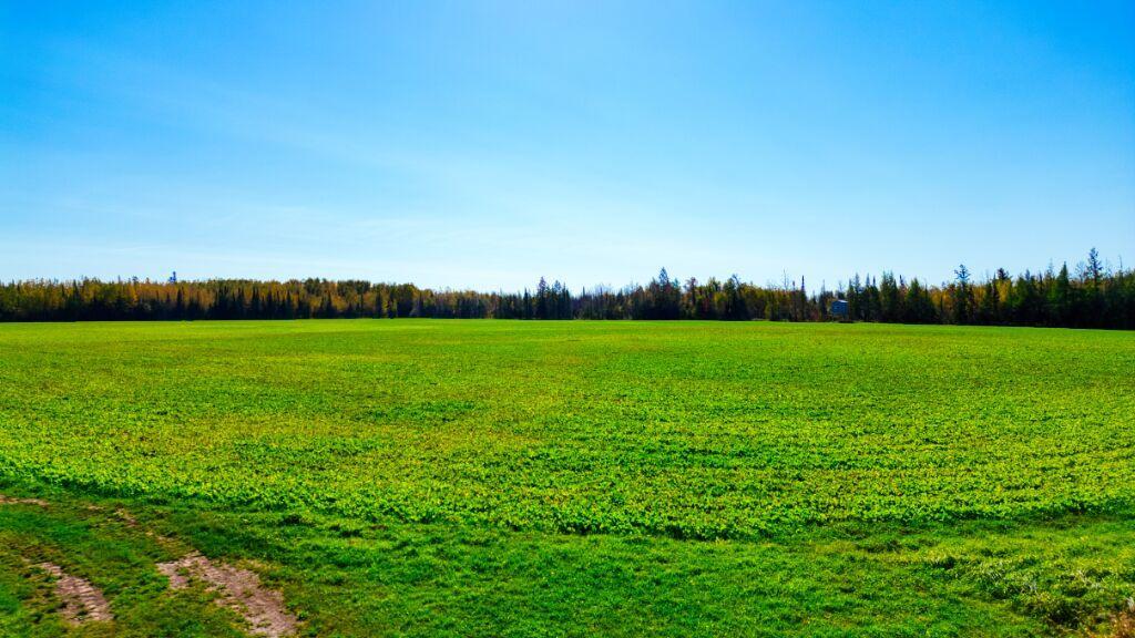 Tbd Tbd Arkola Road Meadowlands, MN 55765 - Photo 26 of 29