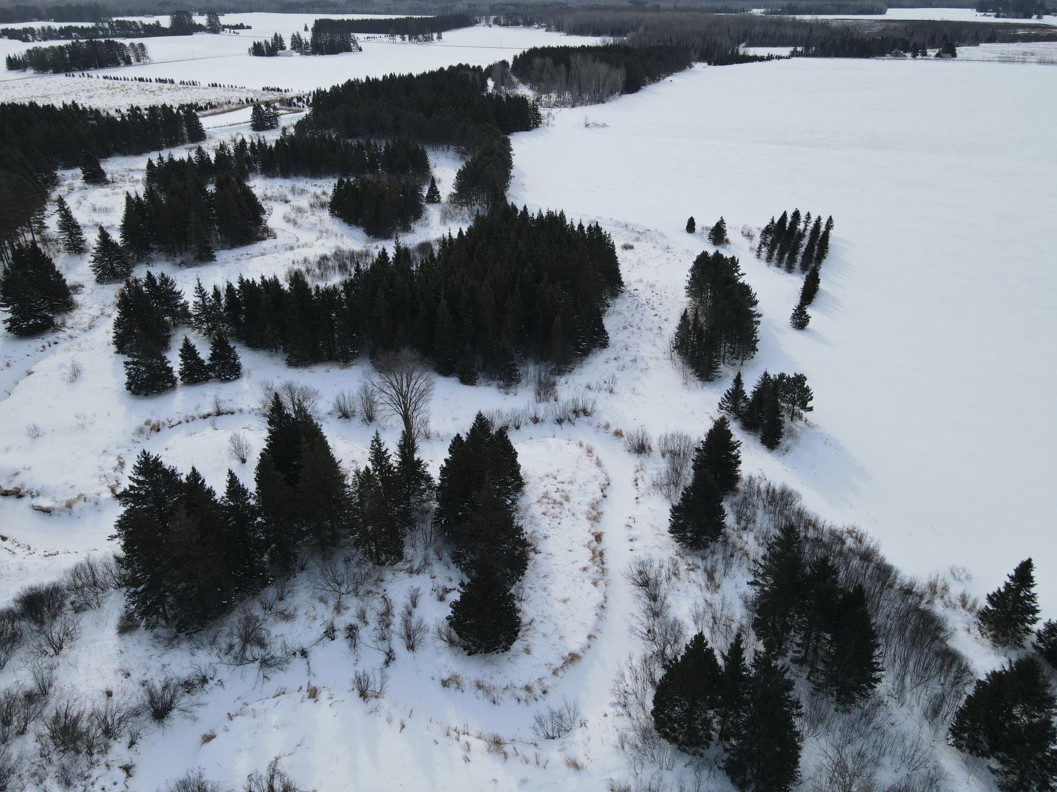 Tbd Tbd Arkola Road Meadowlands, MN 55765 - Photo 28 of 29