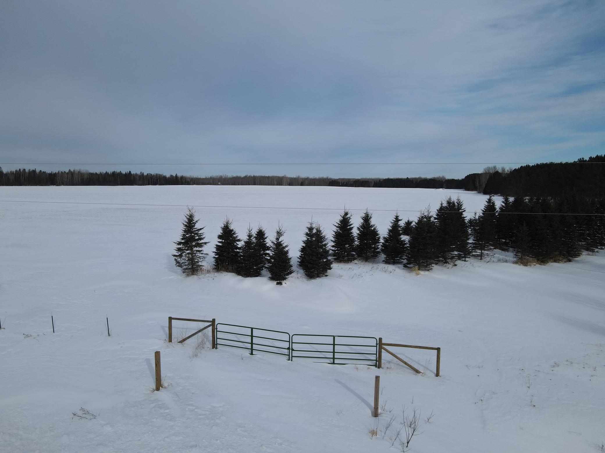 Tbd Tbd Arkola Road Meadowlands, MN 55765 - Photo 6 of 29