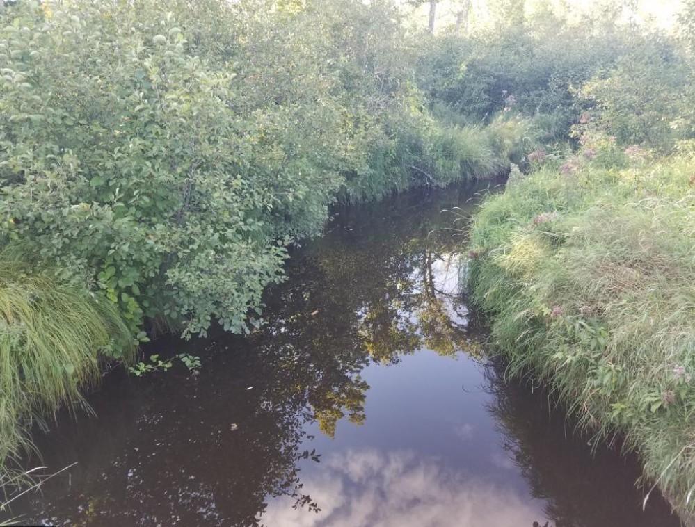 Tbd Tbd Arkola Road Meadowlands, MN 55765 - Photo 7 of 29