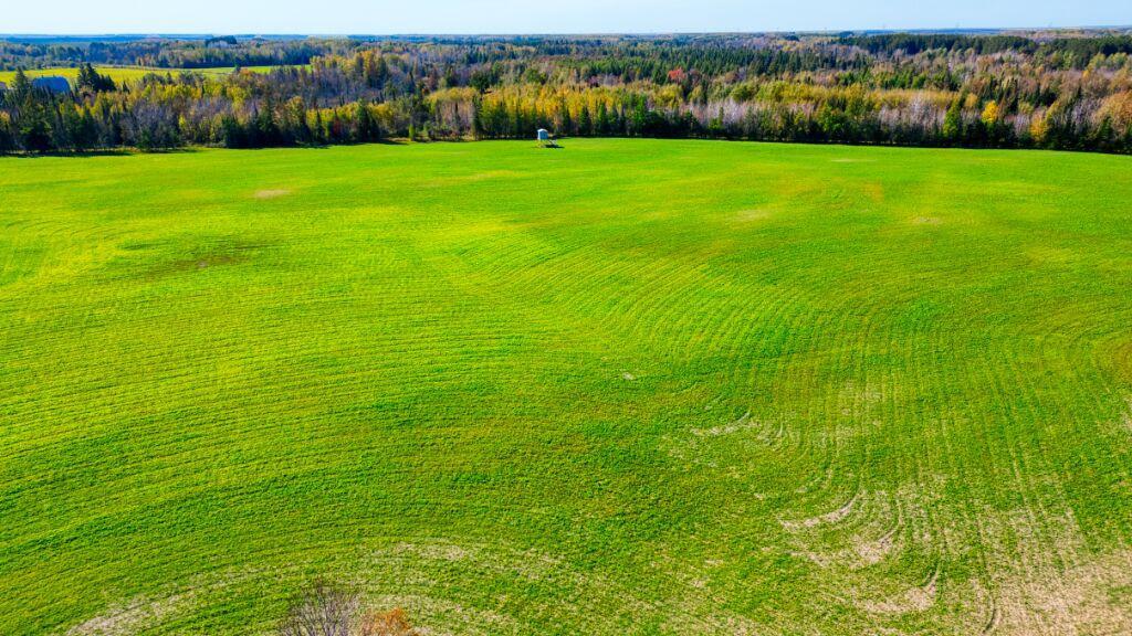 Tbd Tbd Arkola Road Meadowlands, MN 55765 - Photo 10 of 33