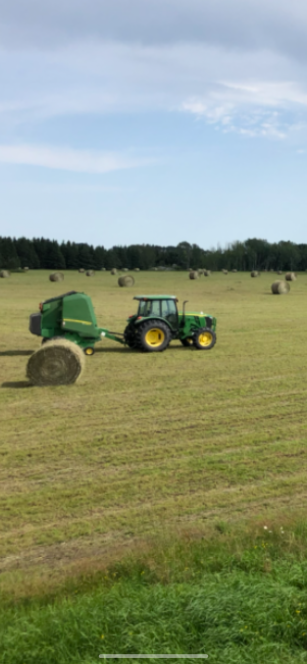 Tbd Tbd Arkola Road Meadowlands, MN 55765 - Photo 10 of 29