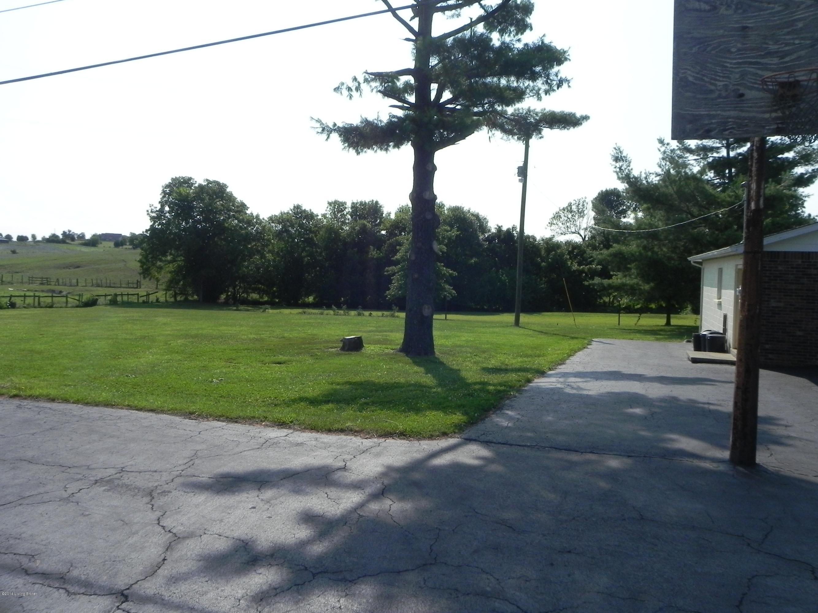 788 Plum Run Road Bardstown, KY 40004 - Photo 19 of 22 Back yard