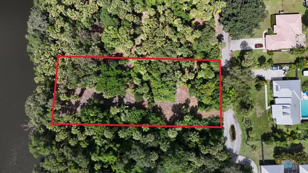 a view of a yard with a tree