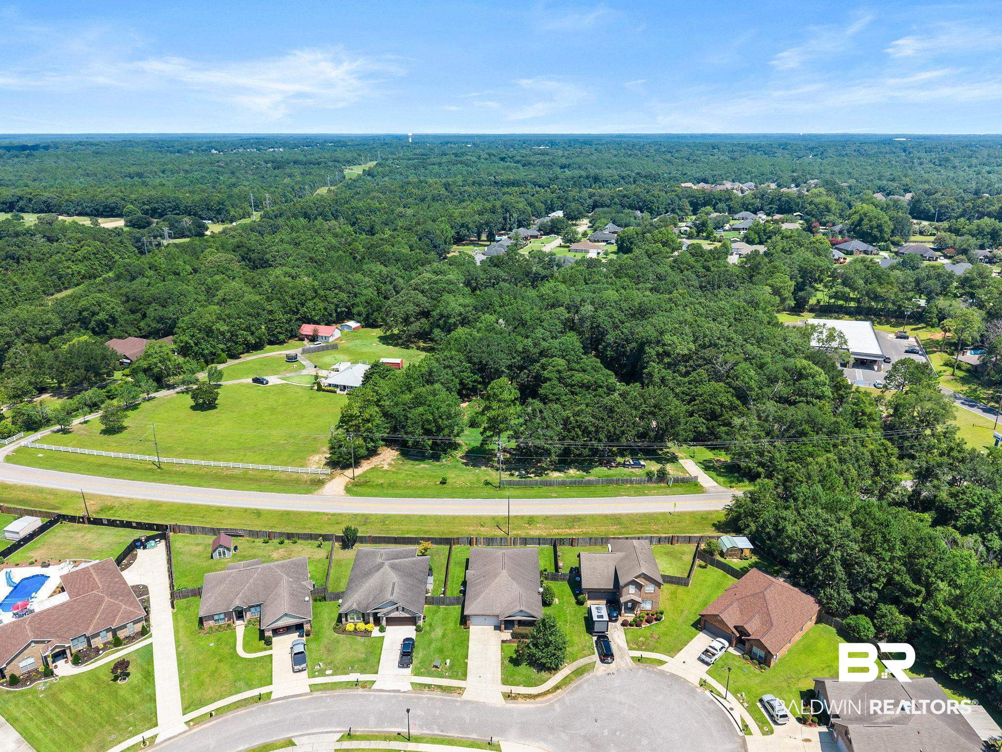 2216 Livingstone Court Mobile, AL 36695 - Photo 59 of 62 Aerial perspective showcasing a residential community with mature trees and a cul-de-sac street