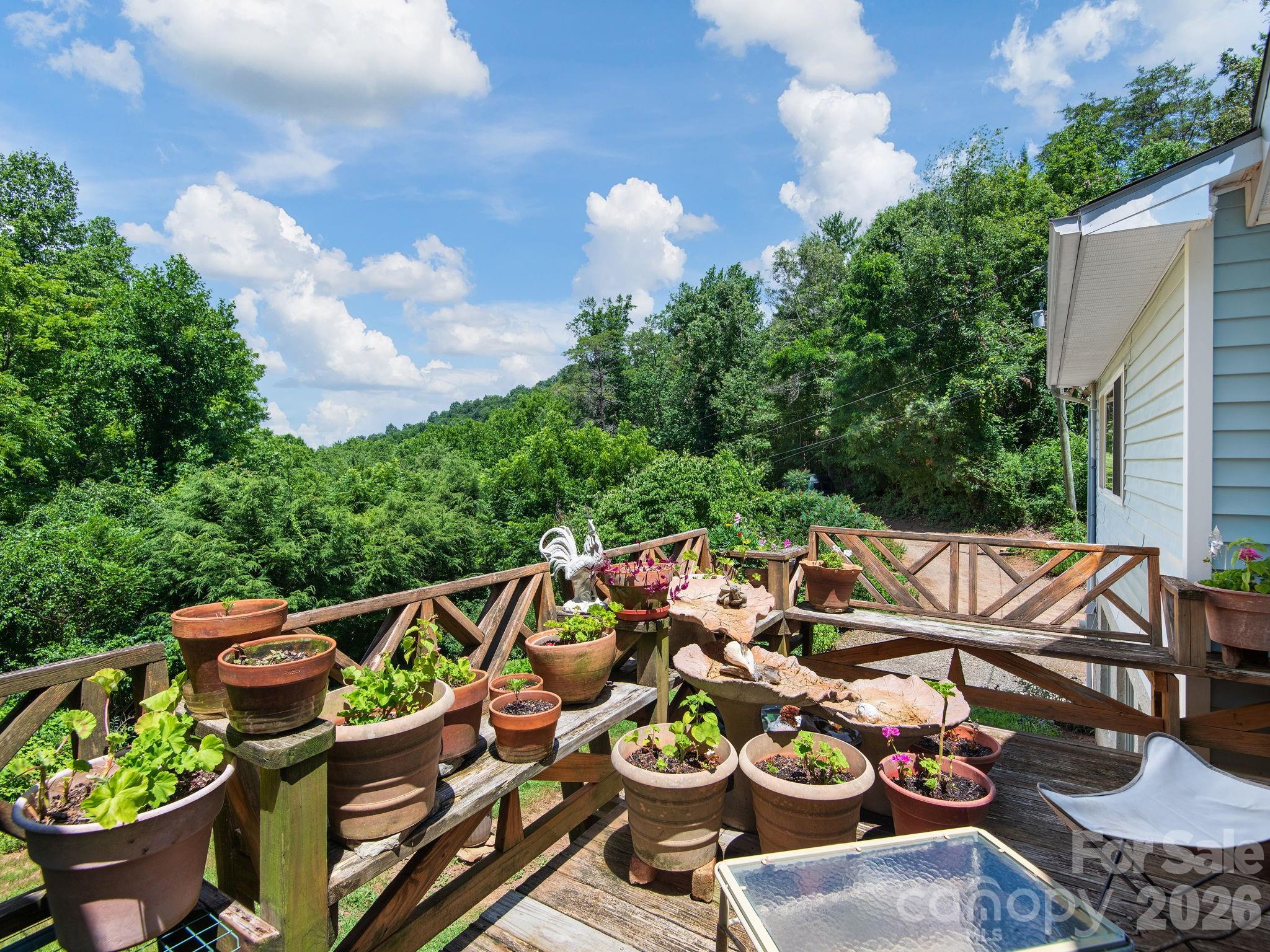 46 Perennial Ridge Weaverville, NC 28787 - Photo 26 of 44