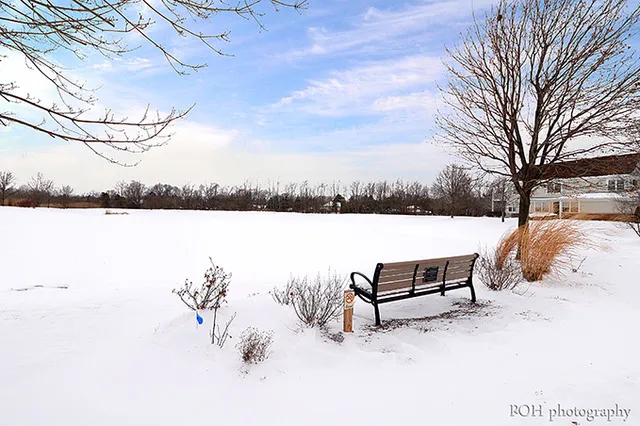 $380,000 | 31603 Kline Circle, Warrenville, IL 60555