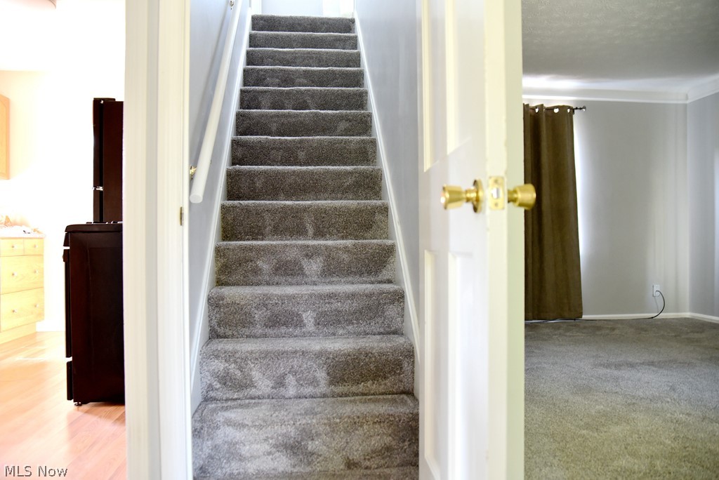 1266 Sunset Road Cleveland, OH 44124 - Photo 27 of 34