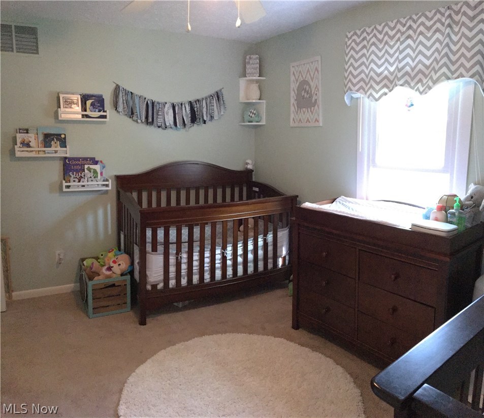 4791 Wayne Road Mantua, OH 44255 - Photo 16 of 26 Gallery Image 16