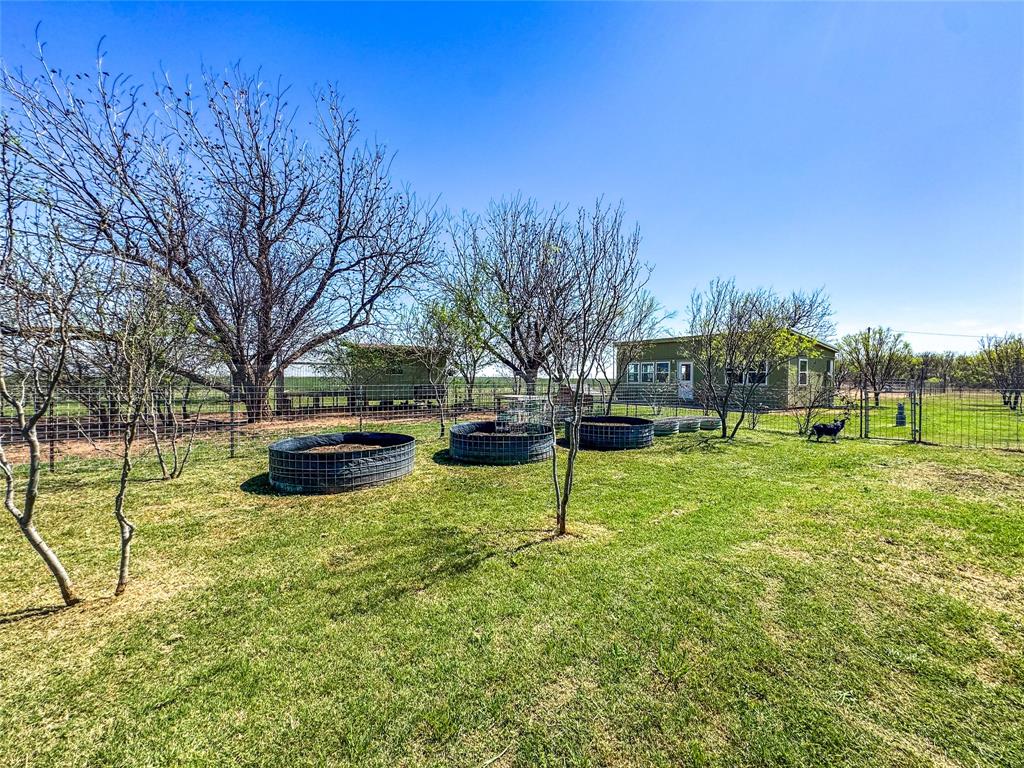 1209 Taylor Avenue Rule, TX 79547 - Photo 19 of 40 a view of backyard with tree