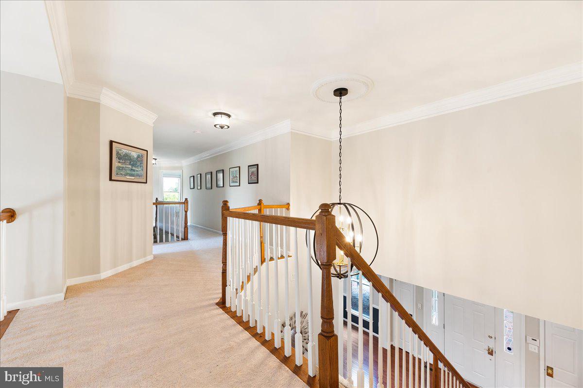 1321 Dasher Lane Reston, VA 20190 - Photo 19 of 67
