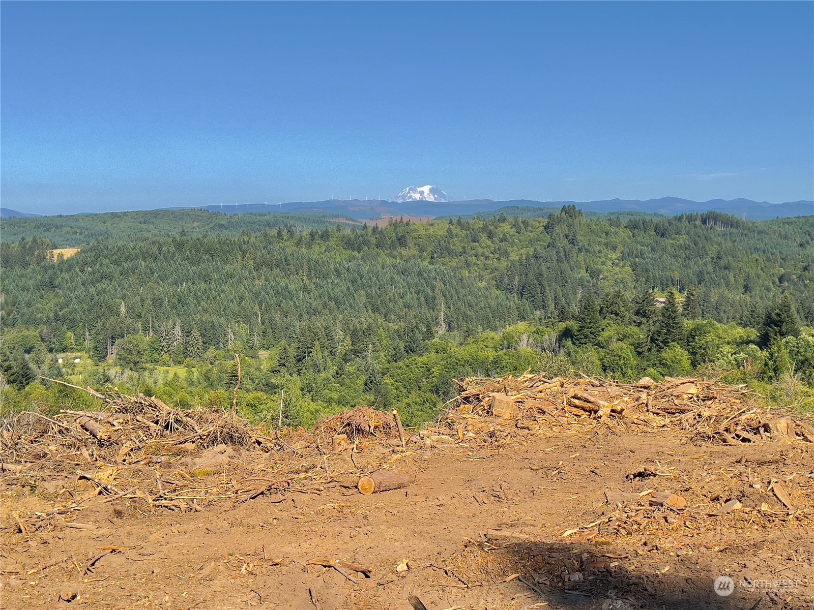 499 Centralia Alpha Road, Unit 1 Chehalis, WA 98532 - Photo 11 of 40 Gallery Image 11