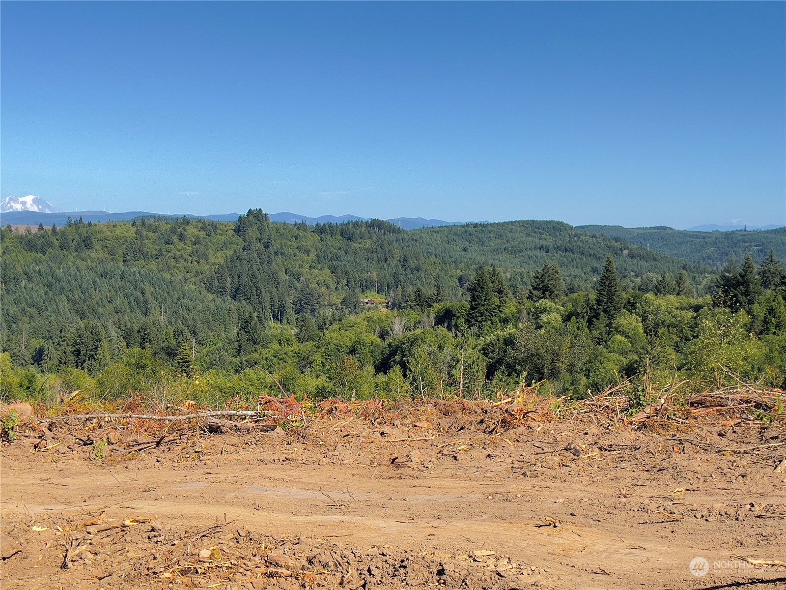 499 Centralia Alpha Road, Unit 1 Chehalis, WA 98532 - Photo 12 of 40 Gallery Image 12