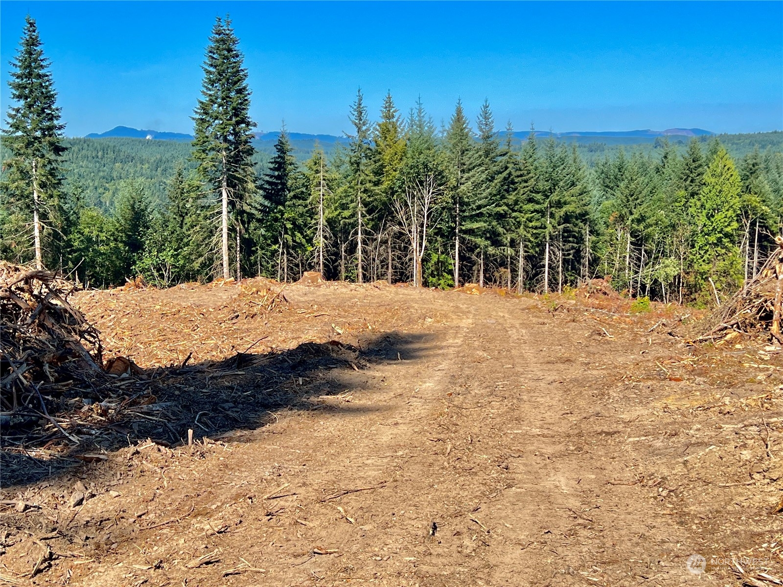 499 Centralia Alpha Road, Unit 1 Chehalis, WA 98532 - Photo 20 of 40 Gallery Image 20