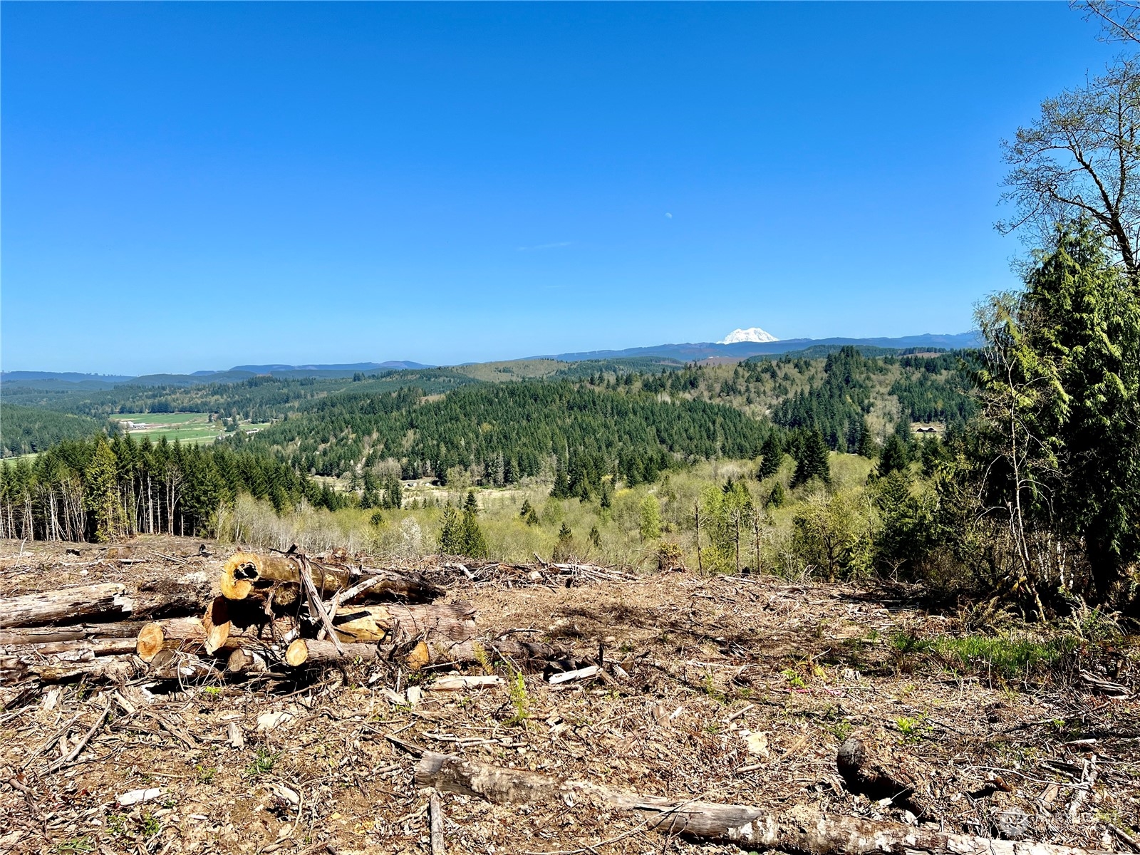 499 Centralia Alpha Road, Unit 1 Chehalis, WA 98532 - Photo 29 of 40 Gallery Image 29