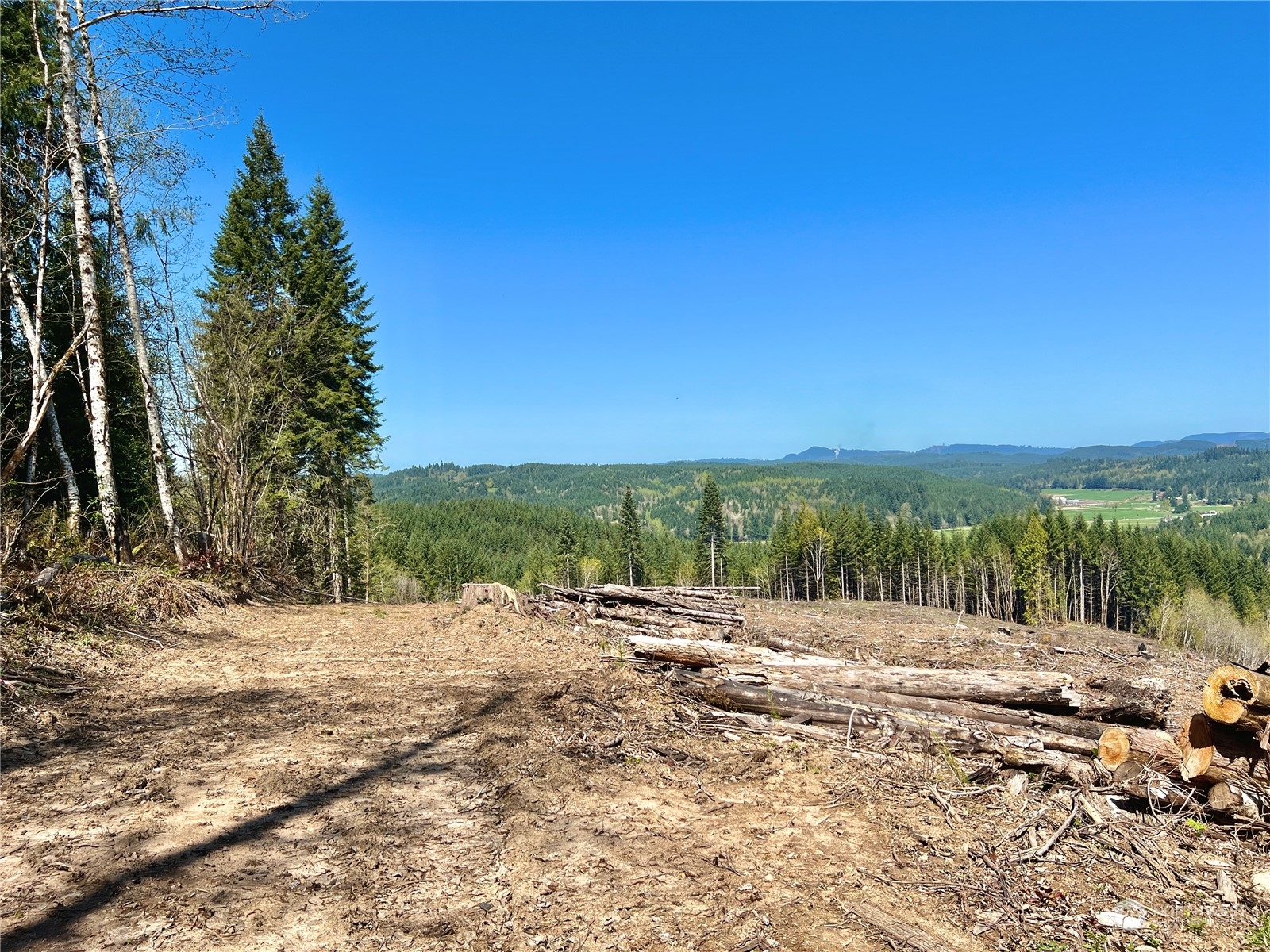 499 Centralia Alpha Road, Unit 1 Chehalis, WA 98532 - Photo 30 of 40 Gallery Image 30