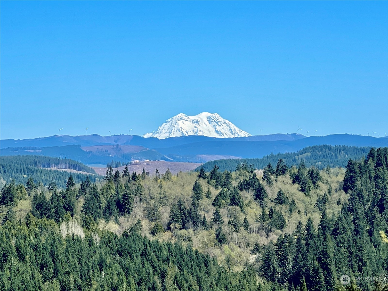 499 Centralia Alpha Road, Unit 1 Chehalis, WA 98532 - Photo 3 of 40 Gallery Image 3