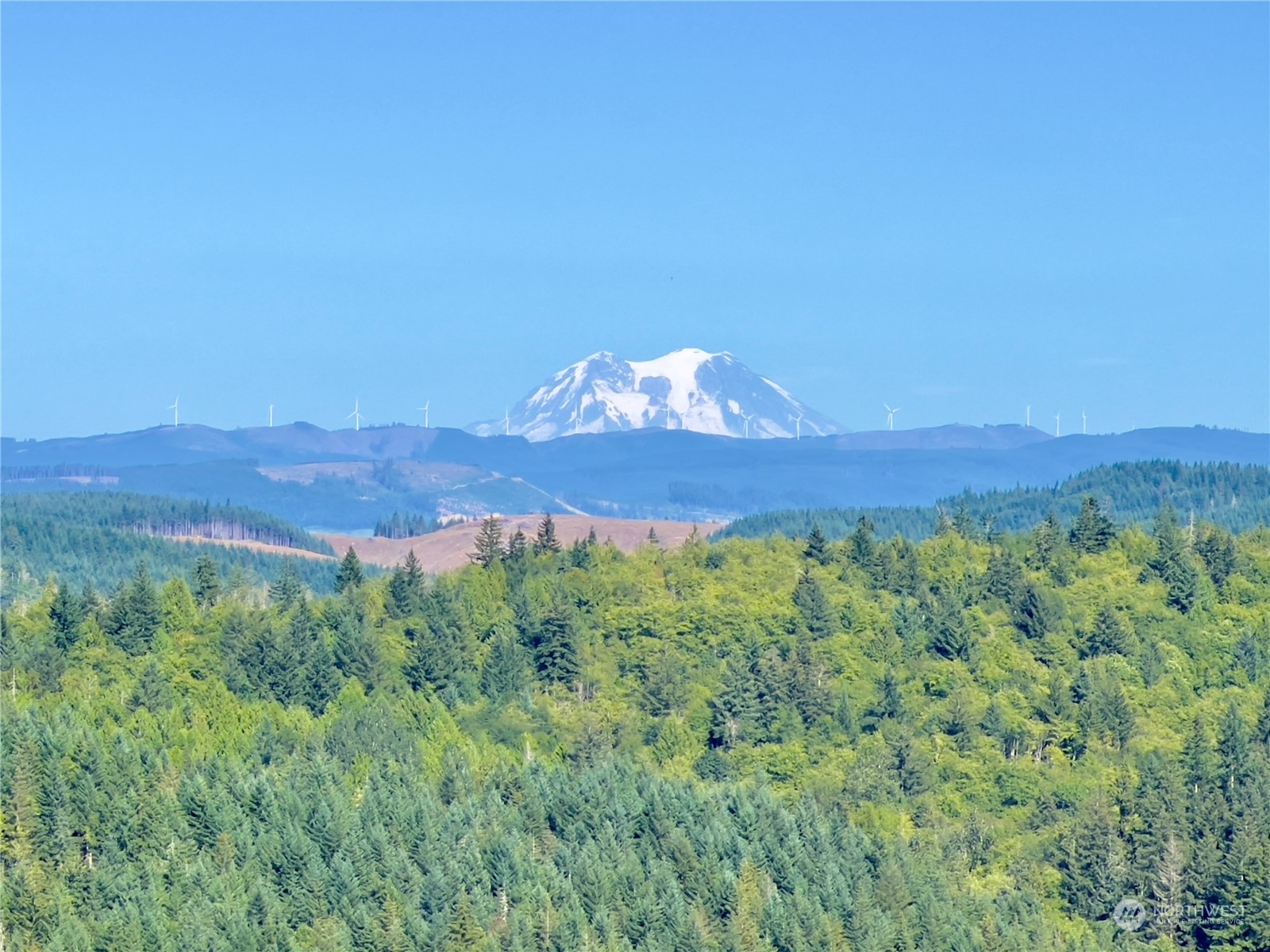 499 Centralia Alpha Road, Unit 1 Chehalis, WA 98532 - Photo 32 of 40 Gallery Image 32