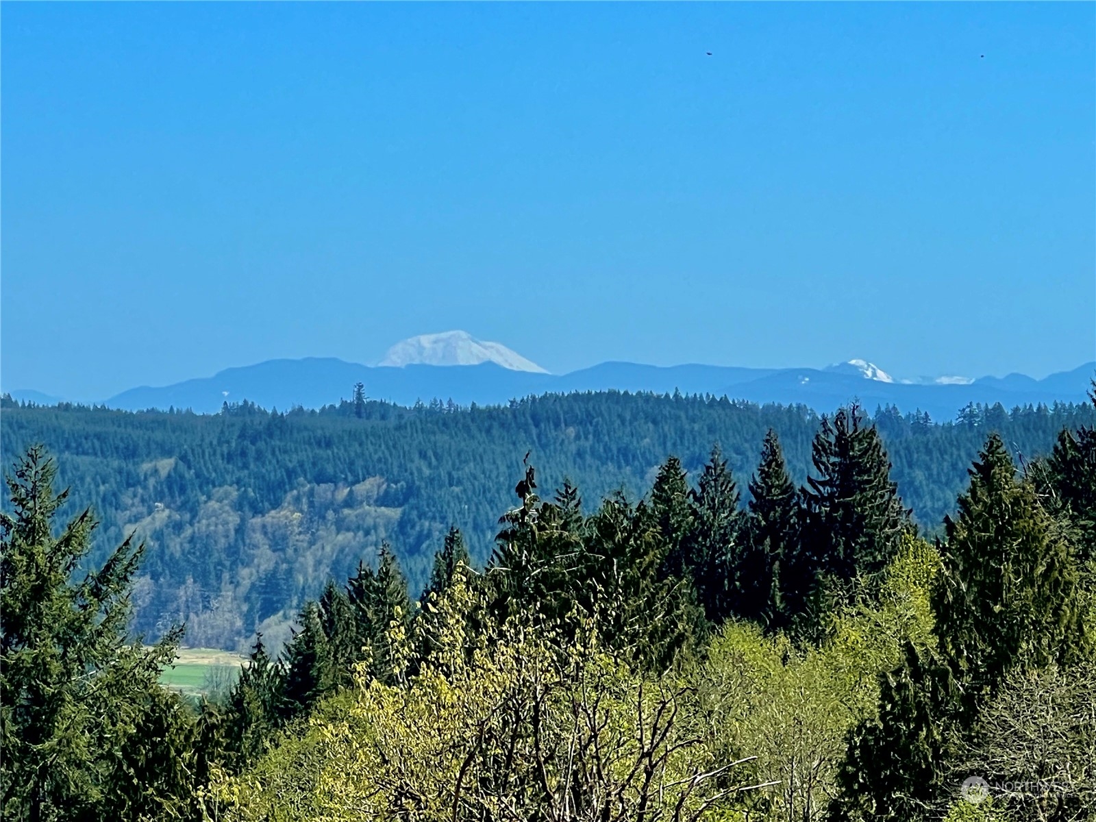 499 Centralia Alpha Road, Unit 1 Chehalis, WA 98532 - Photo 4 of 40 Gallery Image 4