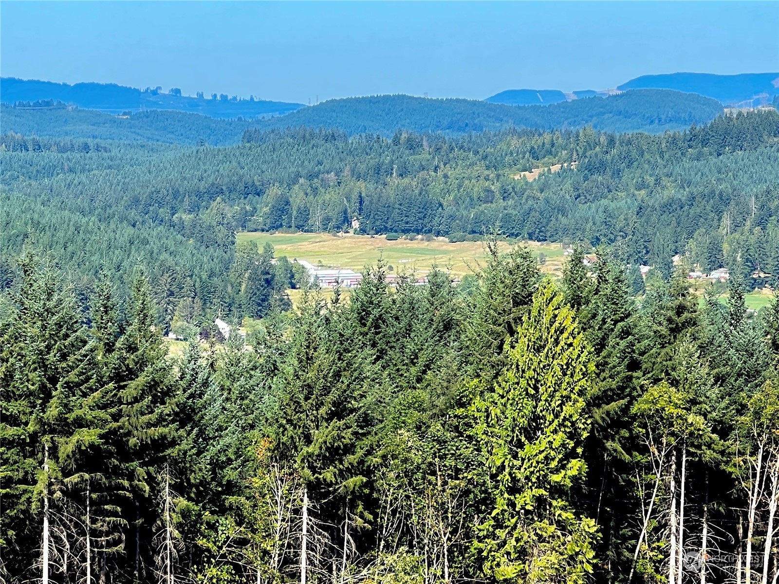 499 Centralia Alpha Road, Unit 1 Chehalis, WA 98532 - Photo 5 of 40 Gallery Image 5